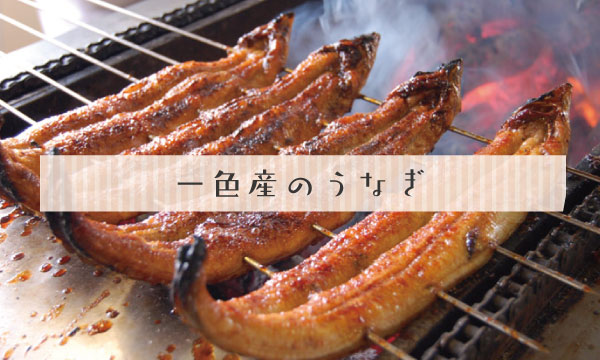 一色産うなぎ